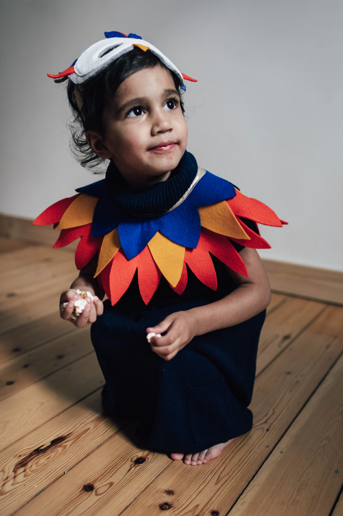 Children's Fancy Dress Bird Set
